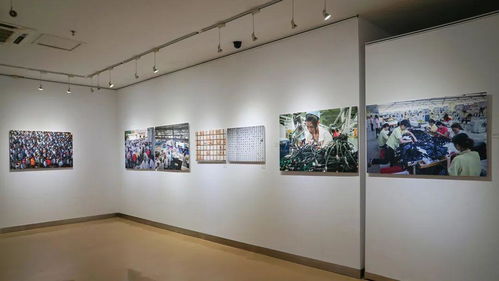 周末看展丨第七届中国摄影年度排行榜上榜作品