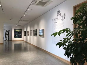 简画廊j gallery暨旅日艺术家王青个展开幕 打造上海新一文化艺术地标