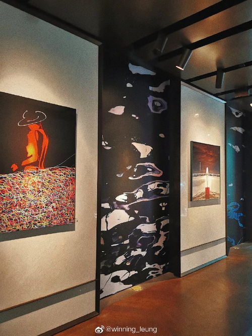 上海发现 point of muse在nart画廊开幕啦