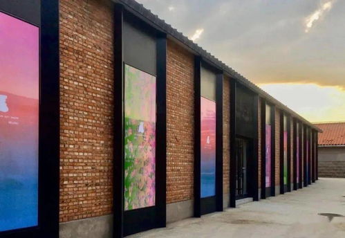 在美术馆里延续2020 一场画廊展的叙事与意义