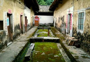 骑行在增江画廊绿道上