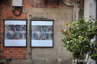 这些超上镜的文创园区，随手一拍都是时尚大片