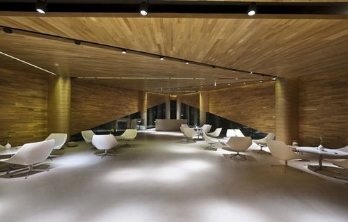 三角世界 天津三V画廊的艺术探索