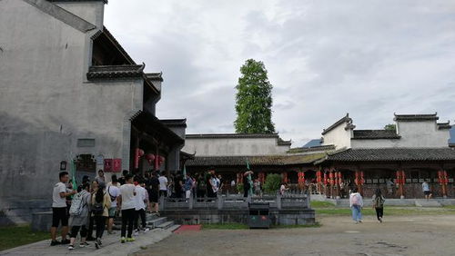 十里画廊一纸言 例外教育写生记（六）