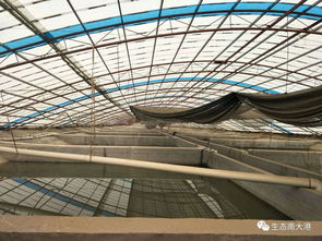 河北沧州南大港三分区 精准打造工厂化水产养殖车间 擘画现代农业新画廊