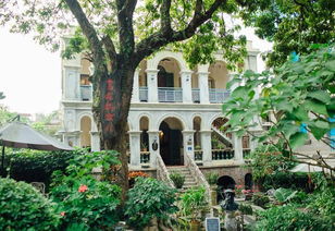 悠悠百年岁月，静雅别致画廊