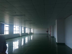 精品公明玉律电子厂 2600平方豪华装修，打造现代工业艺术画廊